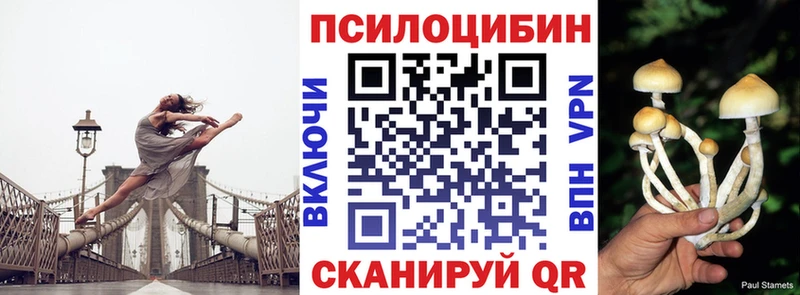 Псилоцибиновые грибы Psilocybine cubensis  Медынь 
